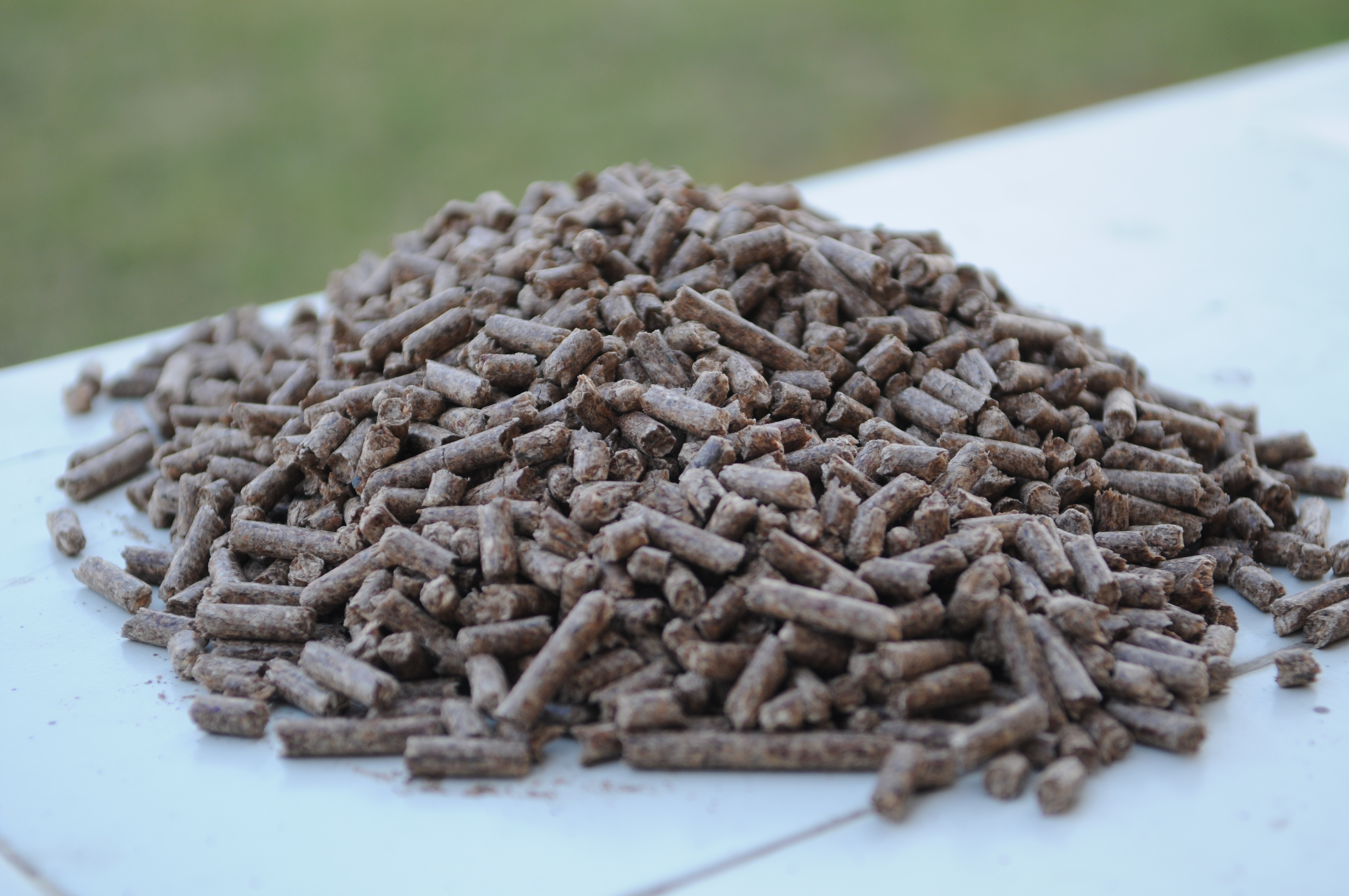 Biomass-pellets